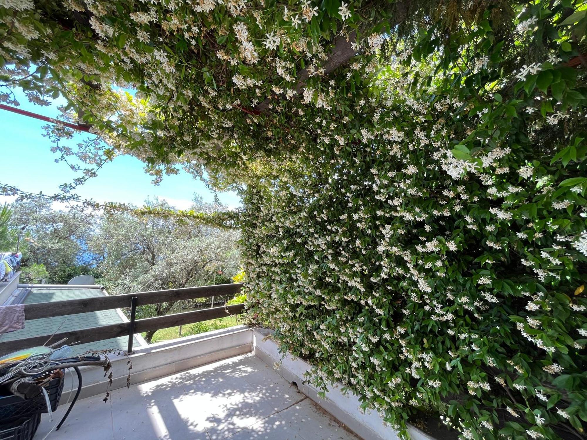The Olives Terrace Residences Dhërmi Eksteriør bilde